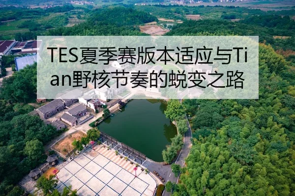 TES夏季赛版本适应与Tian野核节奏的蜕变之路