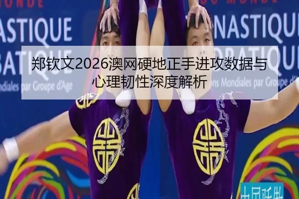zheng-qin-wen-ao-wang-ying-di-zheng-shou-jin-gong-shu-ju-yu-xin-li-ren-xing-shen-du-jie-xi-3-357.jpg