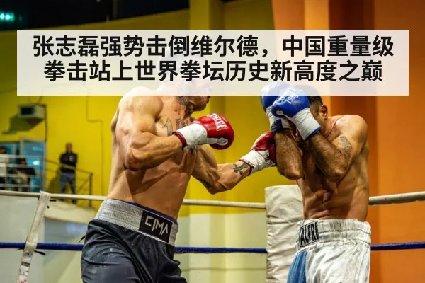 张志磊强势击倒维尔德，中国重量级拳击站上世界拳坛历史新高度之巅