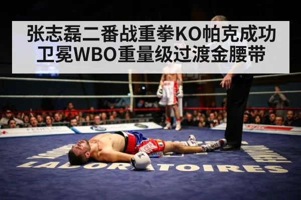 张志磊二番战重拳KO帕克成功卫冕WBO重量级过渡金腰带