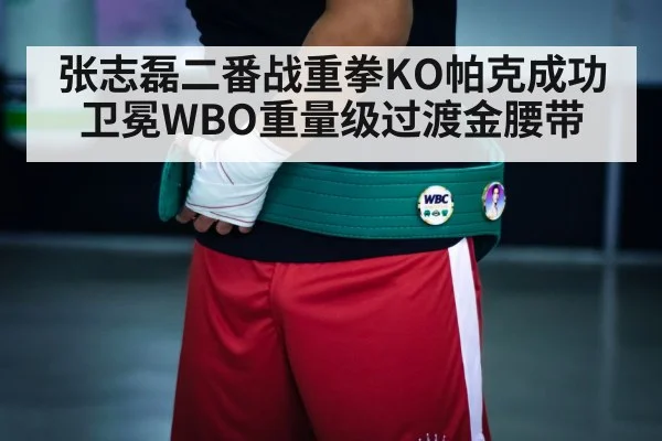 boxing champion belt